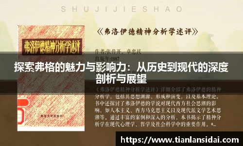 探索弗格的魅力与影响力：从历史到现代的深度剖析与展望